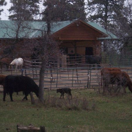 Elktrace Bed And Breakfast Pagosa Springs Exterior foto