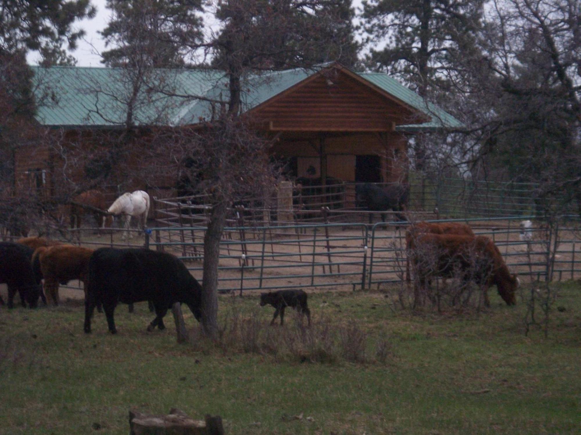 Elktrace Bed And Breakfast Pagosa Springs Exterior foto