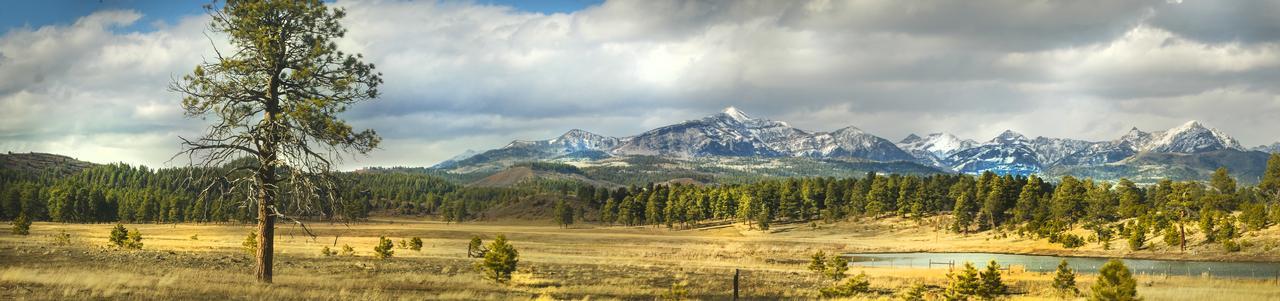 Elktrace Bed And Breakfast Pagosa Springs Exterior foto
