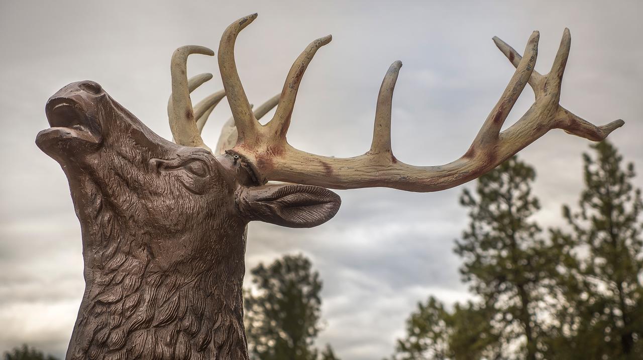 Elktrace Bed And Breakfast Pagosa Springs Exterior foto